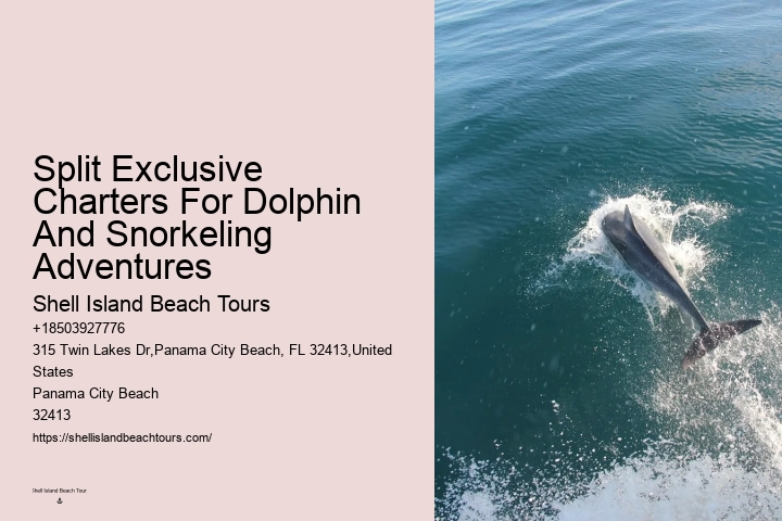 Do Dolphins Really Swim In Front Of Ships