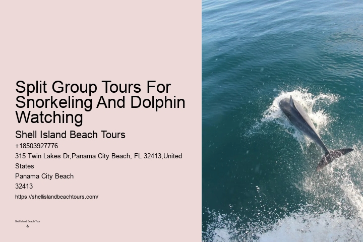 What is the refund policy if I'm not satisfied with the dolphin tour