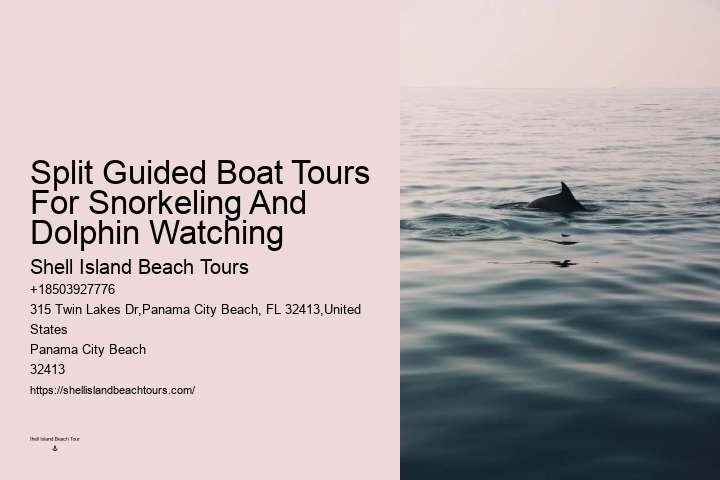 Split Marine Tours With Dolphin Encounters