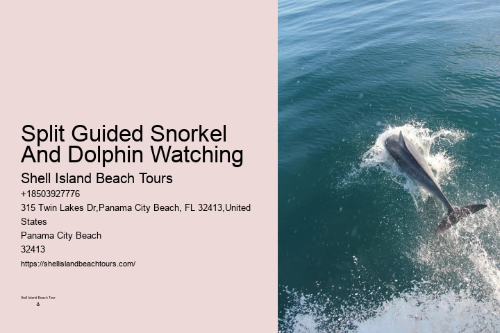 Split Ultimate Dolphin And Snorkeling Expeditions