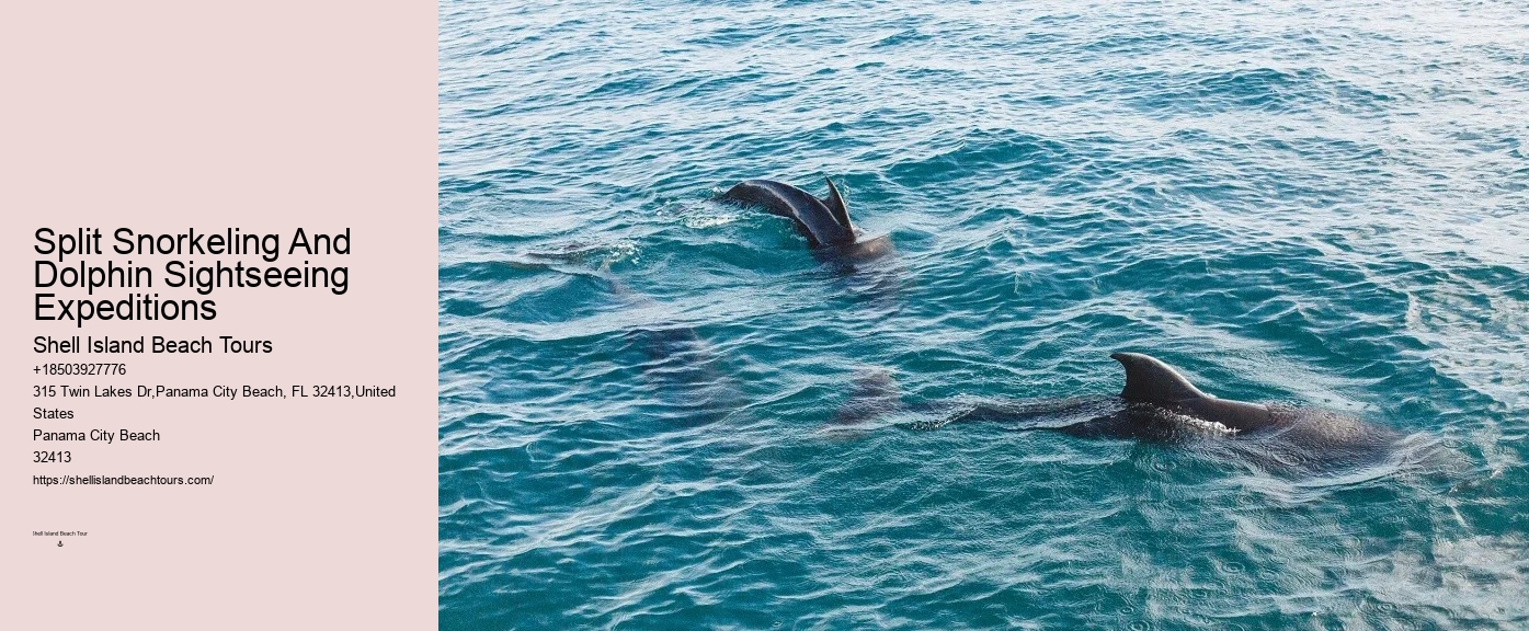 Aquatic mammals