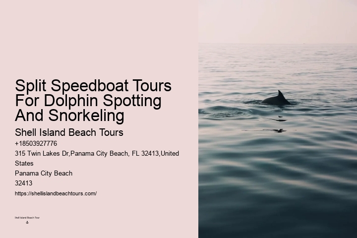 Split Unforgettable Snorkeling And Dolphin Trips
