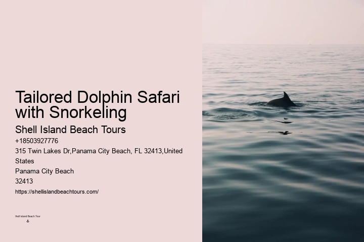 Top Panama City Beach Dolphin Watching