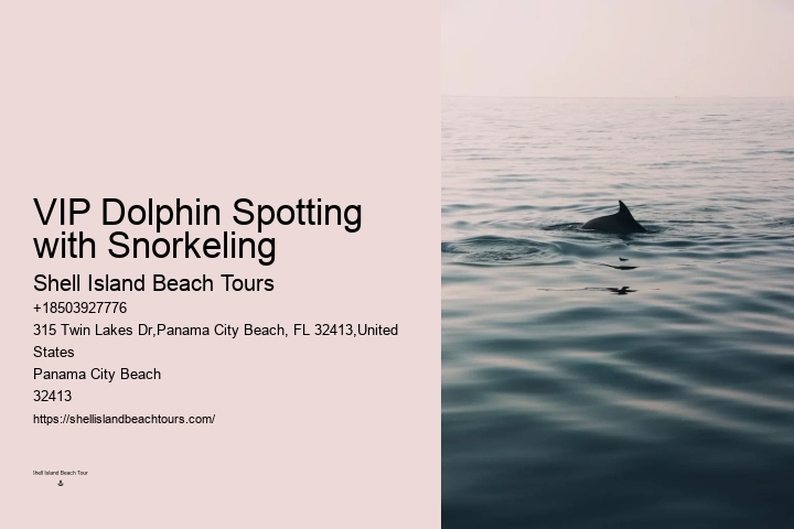 Dolphin boat rides in Panama City Beach