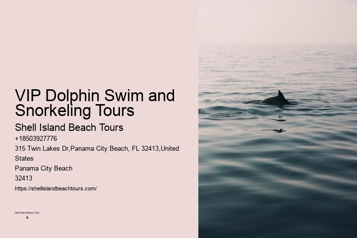 Panama City Beach dolphin adventures